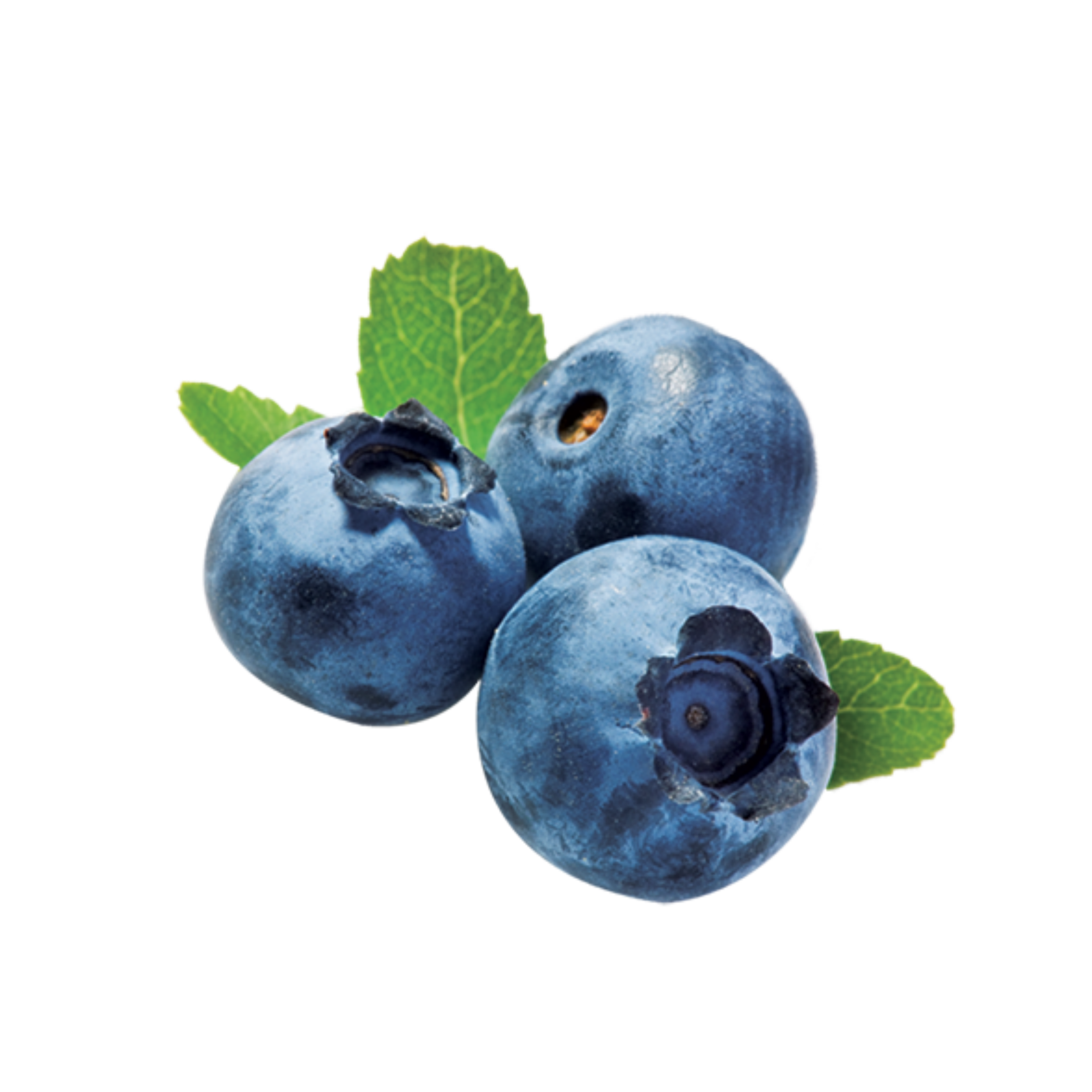 Blueberry Sauce logo