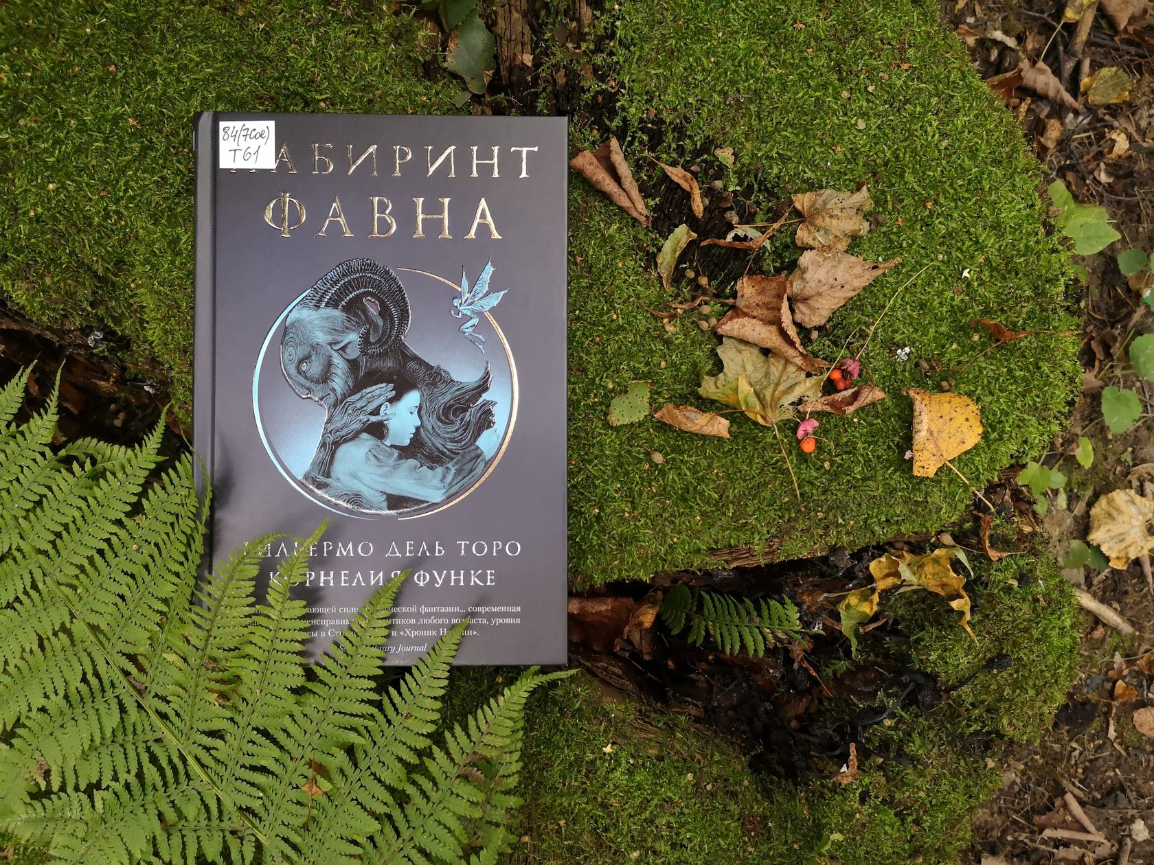 Биография жабы и таинственный лес: «Лабиринт Фавна» Корнелии Функе