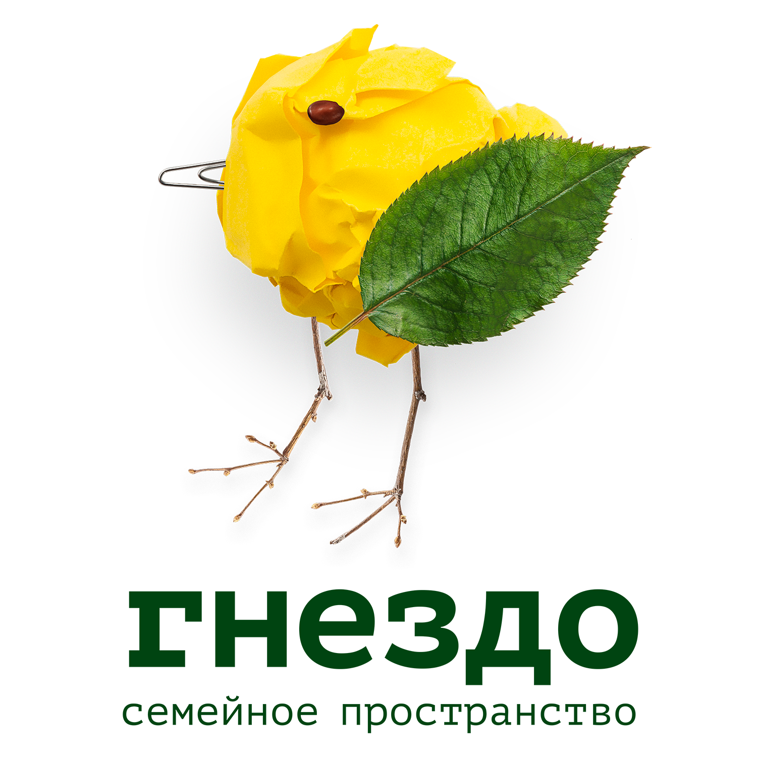  АДРеса филиалов 