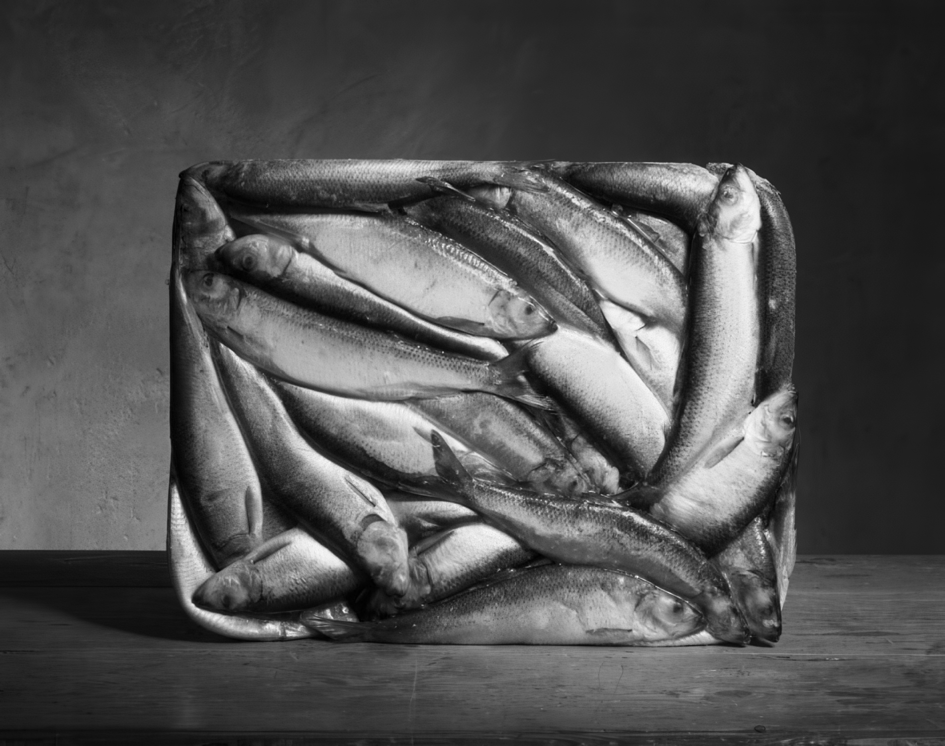 Работы из проекта Андрея Щукина "Кинестетика"