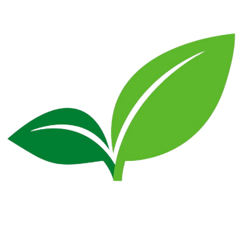 Зеленый лист. Лист символ. Логотип зеленый лист. Значок зеленый листочек. Знак лист