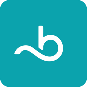 website icon