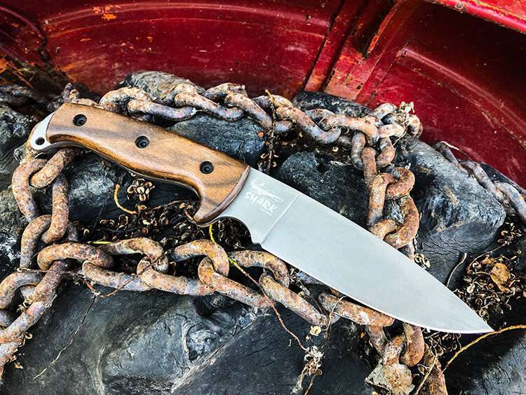 Kizlyar Supreme SHARK knife model