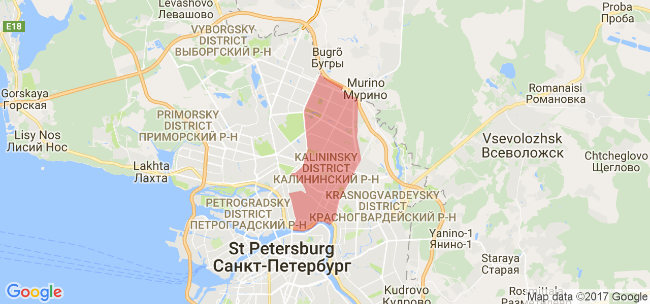 Гугл карта левашово