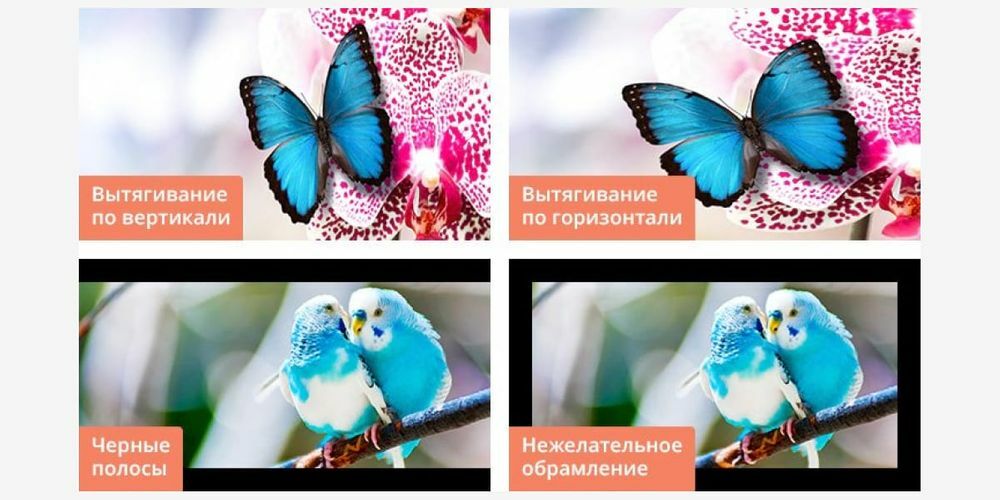 Фото из блога Movavi – программы для конвертации видео