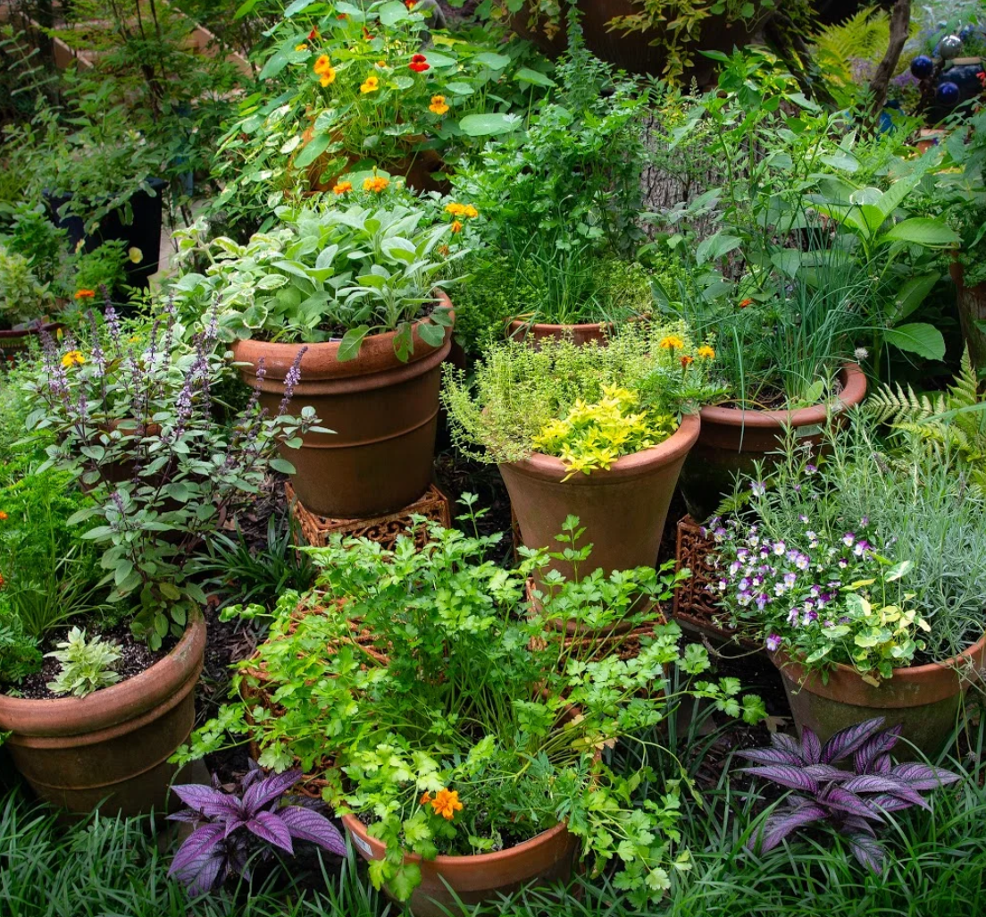 травница, травница калининград, лечебные травы, свойства трав, свойства лечебных трав калининград, оберег, оберегать, славянские обереги, кукла оберег, молитва оберег, скрутки, скрутка свечей, женская баня, лечебная баня, свойства бани, бани калининград, женская встреча, мастер-класс свечи, мастер-класс калининград, сбор трав, купить сбор трав, какой сбор трав, народная медицина, лечение народной медициной, травник калининград