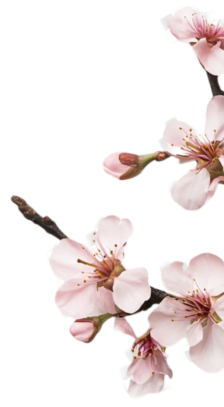 Декоративная ветка