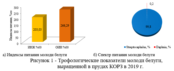 Трофологические показатели молоди белуги, выращенной в прудах КОРЗ в 2019 г.