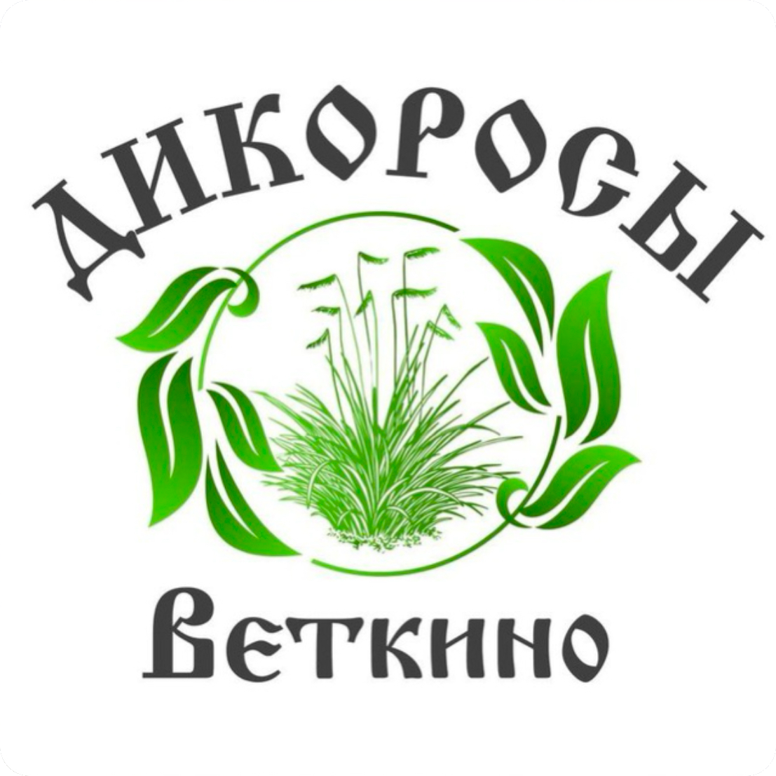 Дикоросы Веткино