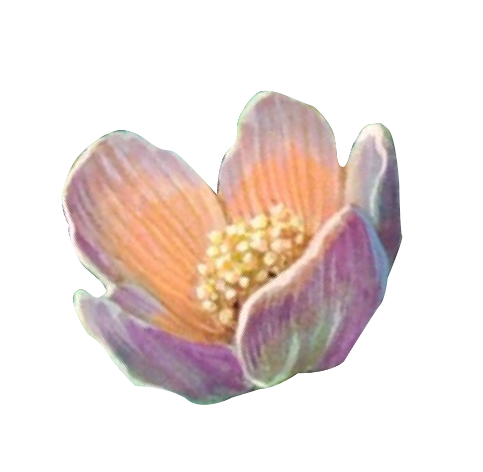 pink flower