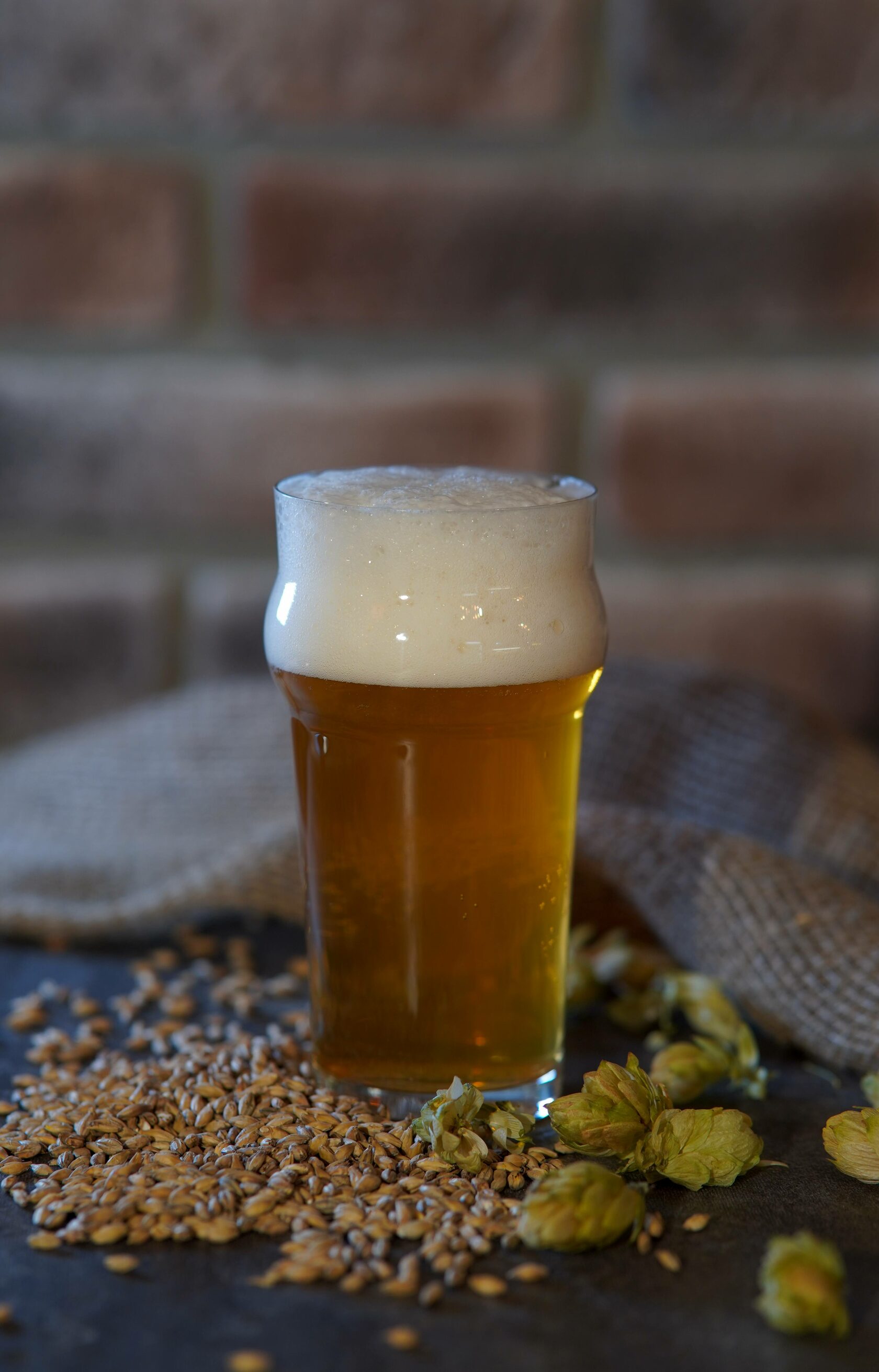 Пиво «Кельш»