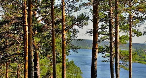 Климатолечение