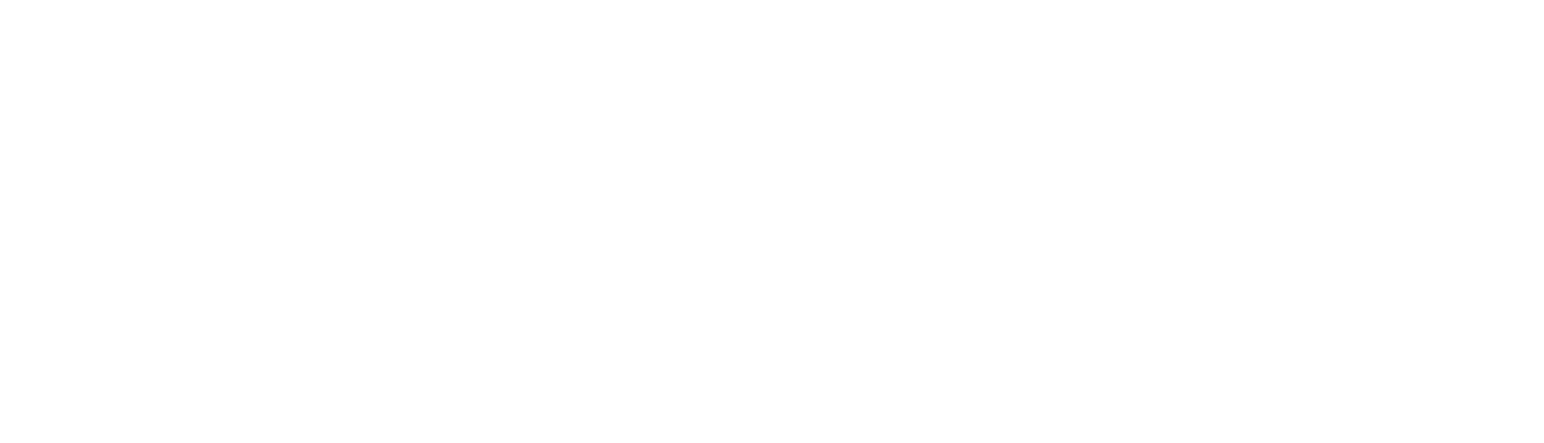 СИЛА ЛИДЕРА