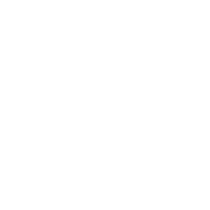 website icon
