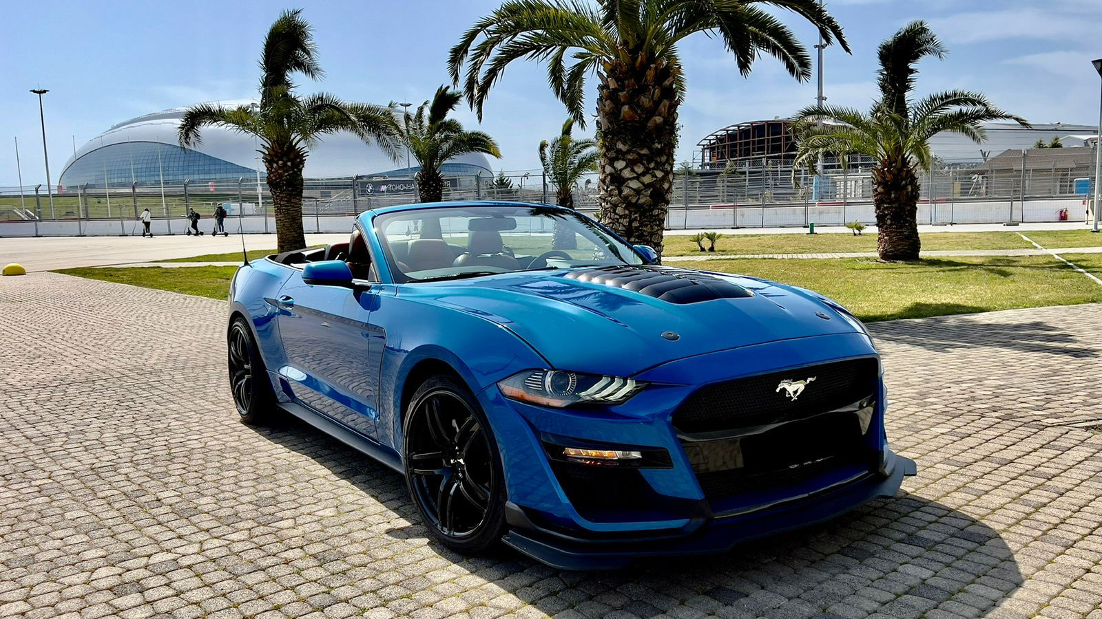 Аренда Ford Mustang в Сочи без Посредников по низким ценам - Top Cars Sochi