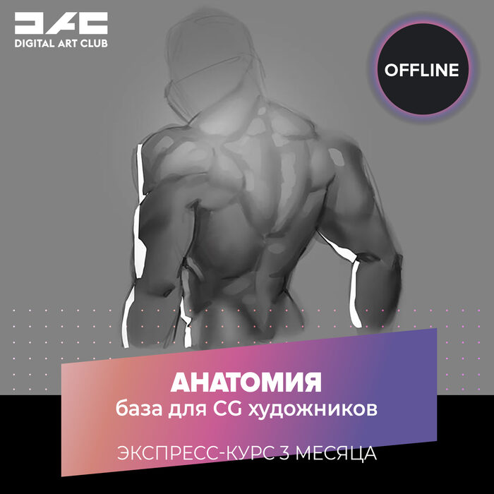 Полный курс анатомии. База анатомии.