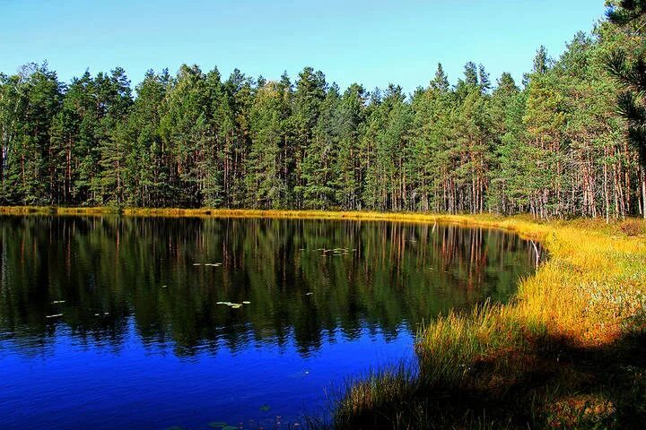 Озеро Горелое