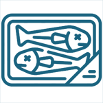 Астраханская рыба с доставкой в регионы