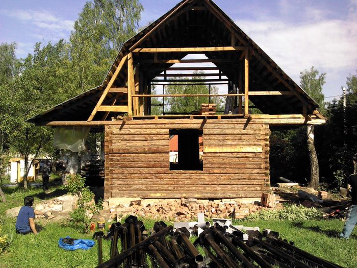 Павел Поляков - Хозяйство и уборка, Спил и обрезка деревьев и кустарников, Уход 