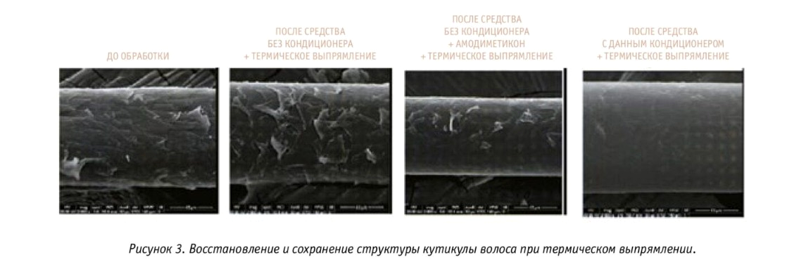 Восстановление структуры кутикулы при термическом выпрямлении