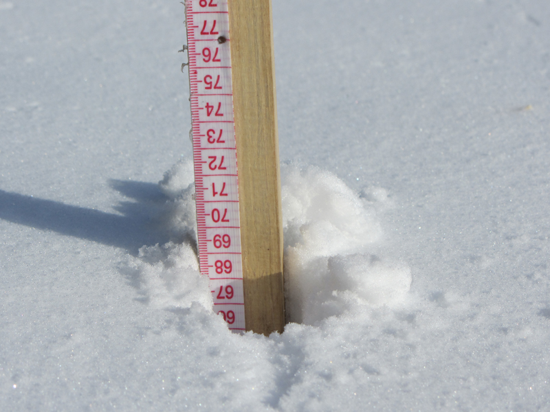 Переносная снегомерная рейка м-104. Измеритель высоты снежного Покрова. Линейка для измерения снежного Покрова. Ищмерение высо снежного Покровп. Запас воды в снеге