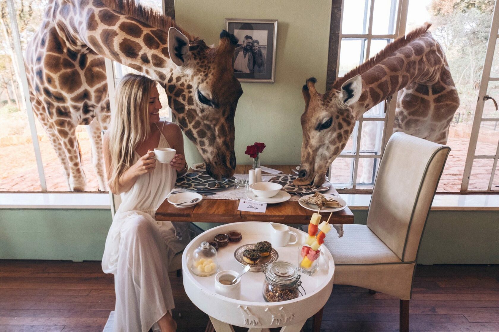 Ресторан в африке с жирафами