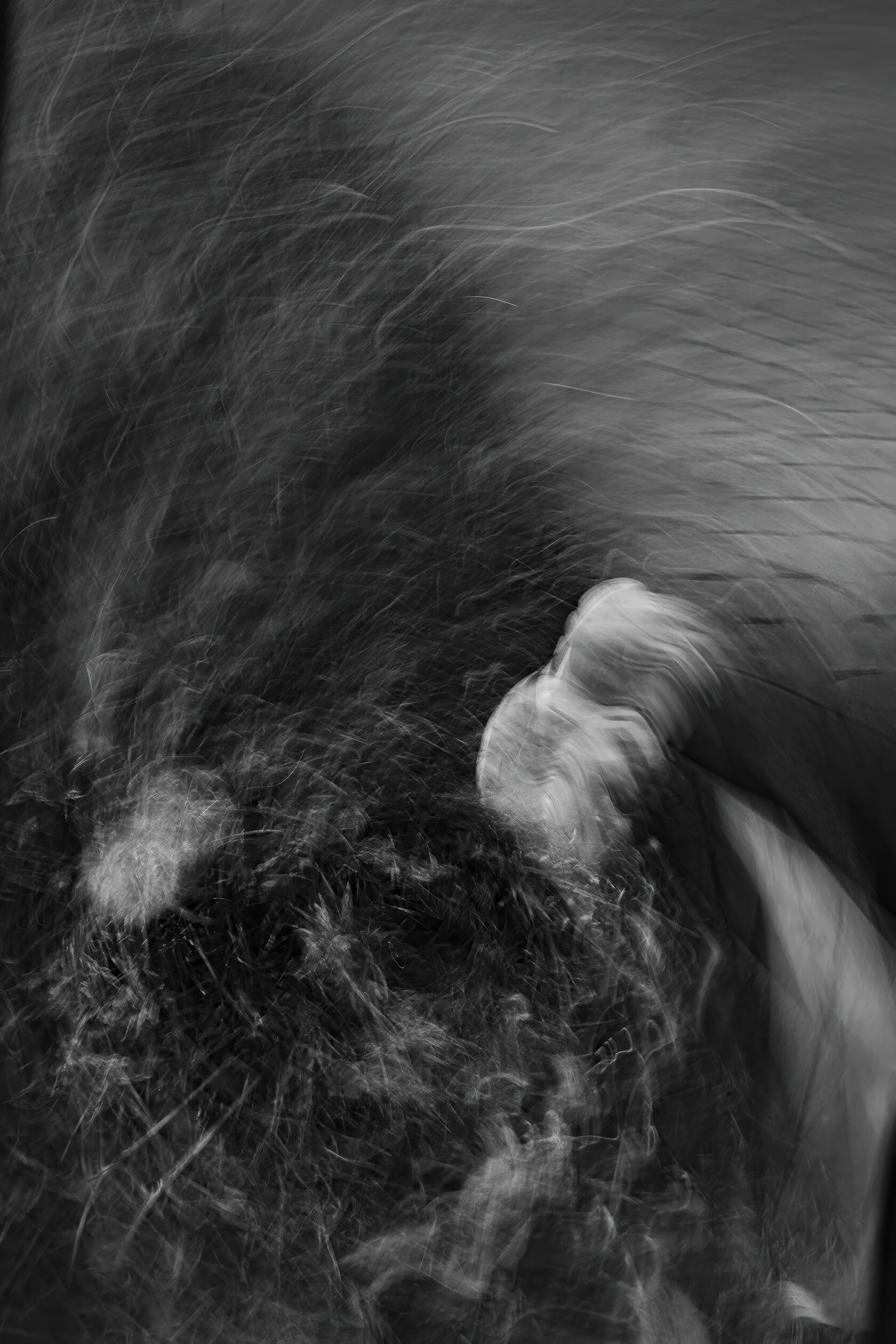 Сергей Михалюк: Флюксизм. Sergey Mikhalyuk: Fluxism.