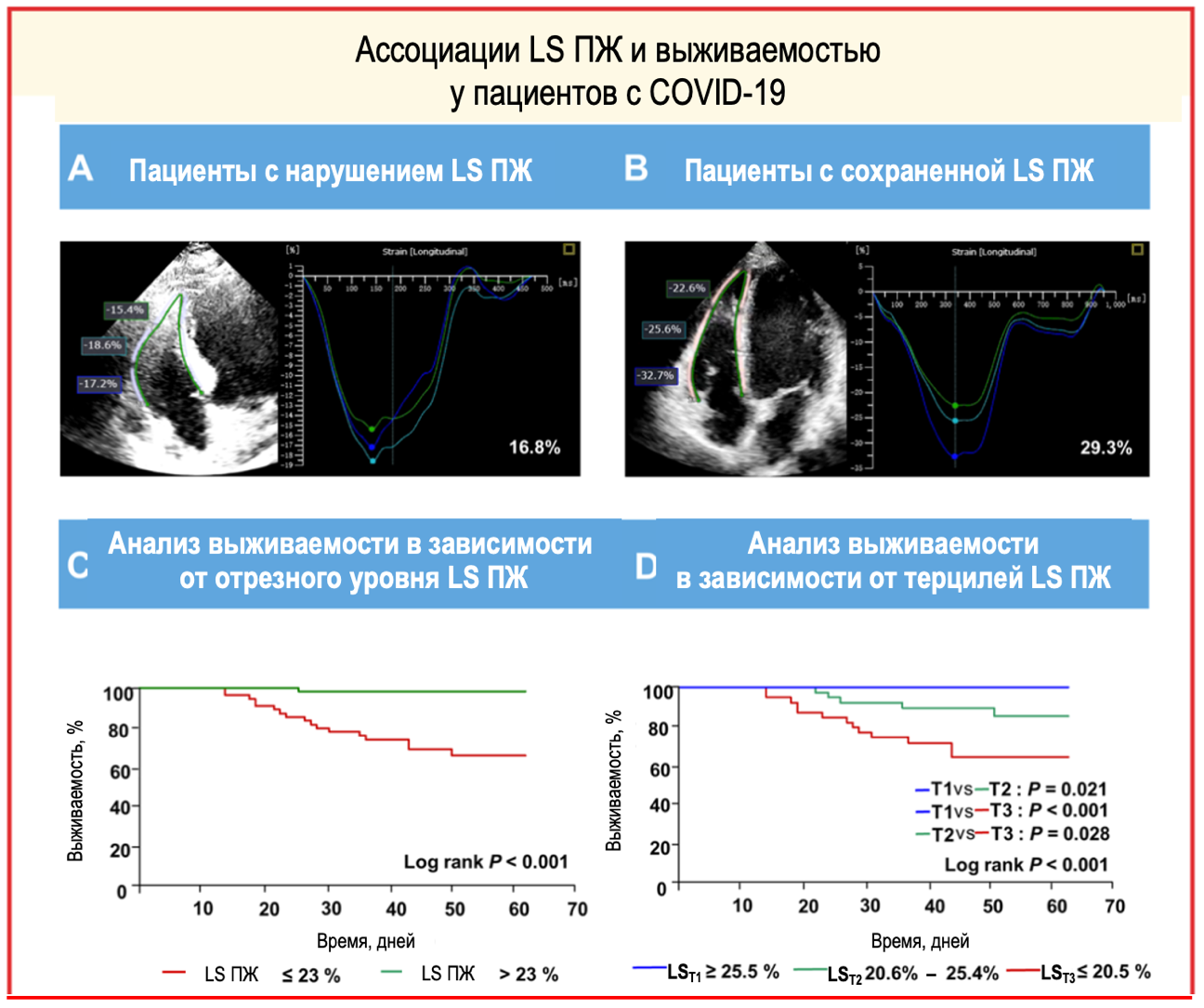 Ассоциации продольной деформации (LS) ПЖ по данным speckle-tracking ЭхоКГ с исходами [4]
