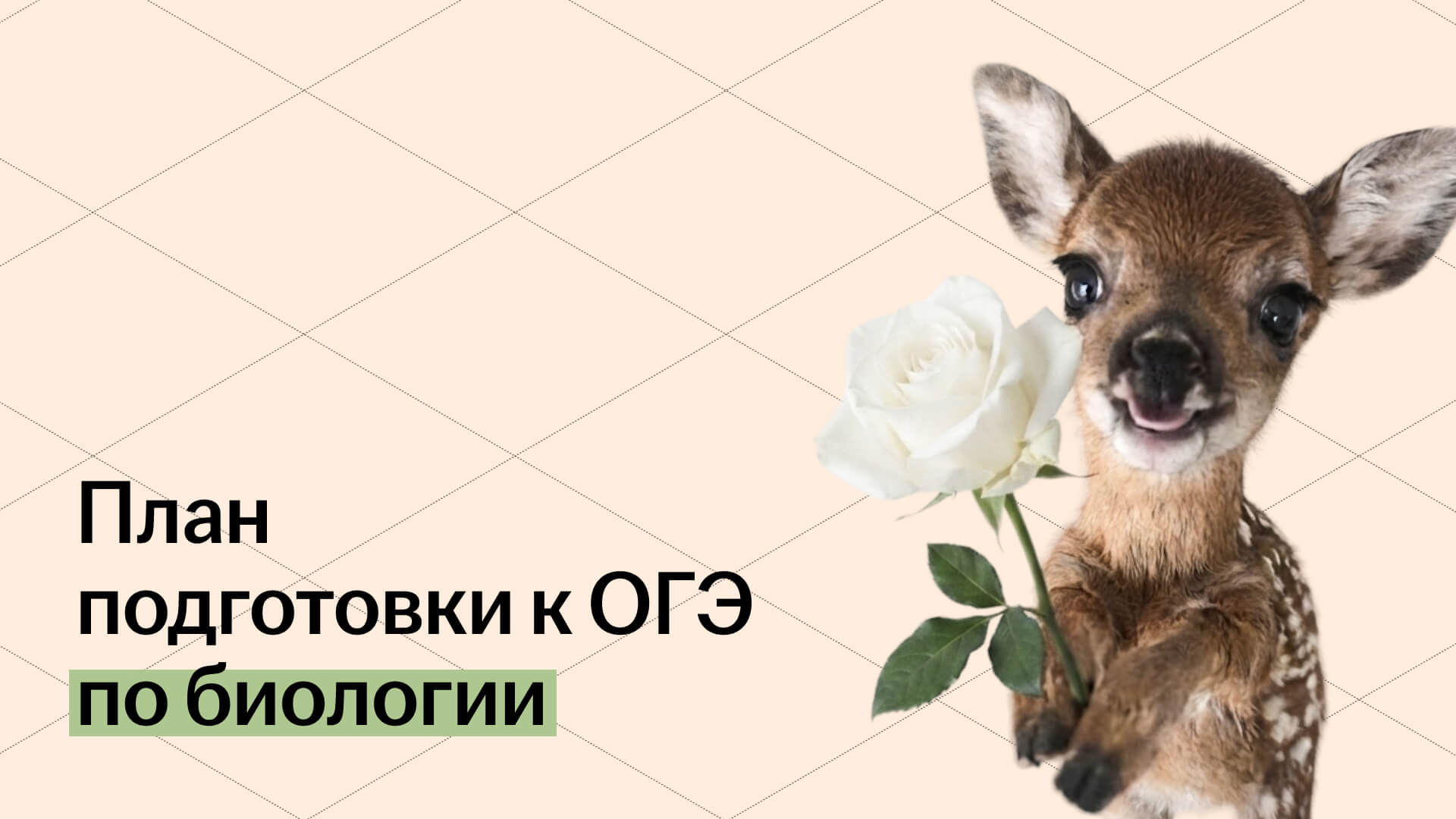 Обложка статьи