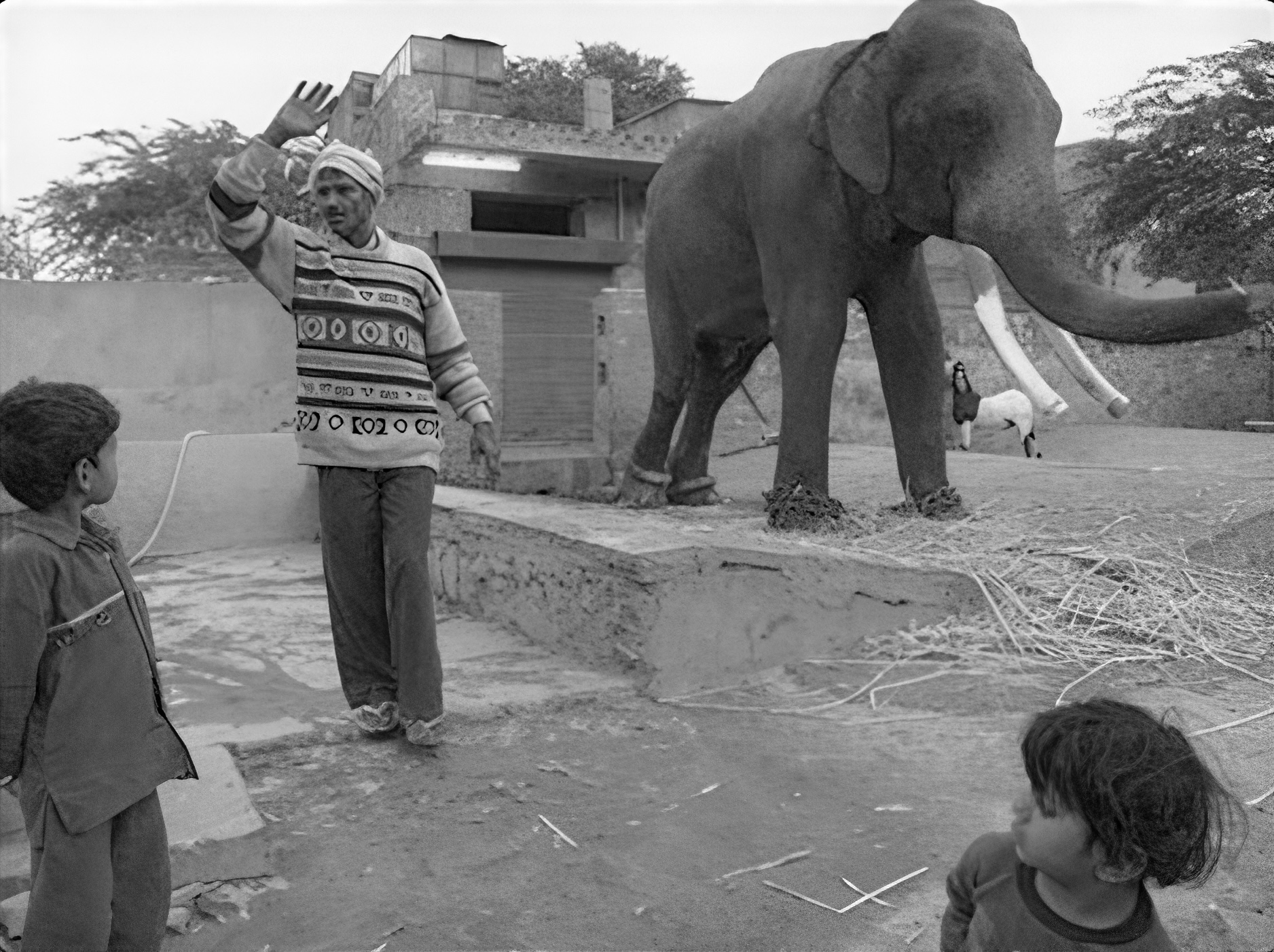 Парнюк - Индийский альбом