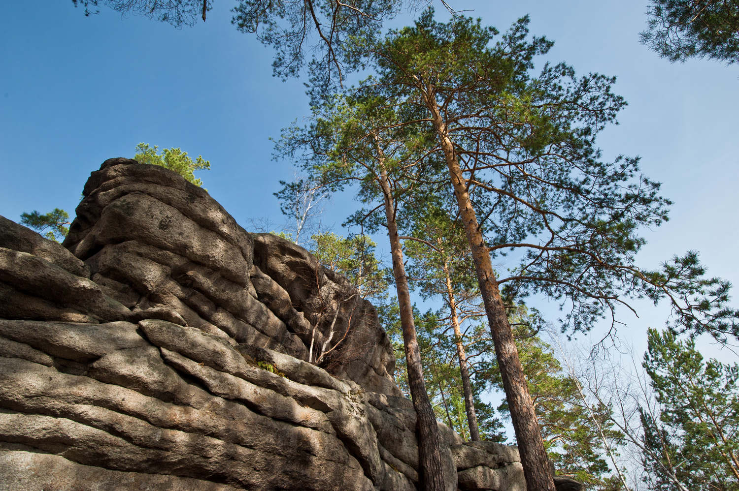 Шарташский парк екатеринбург