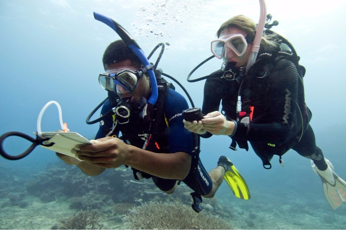 Ли под водой. Рескью дайвер Padi. Padi дайвинг. Master Scuba Diver Padi. Padi Advanced open Water Diver.