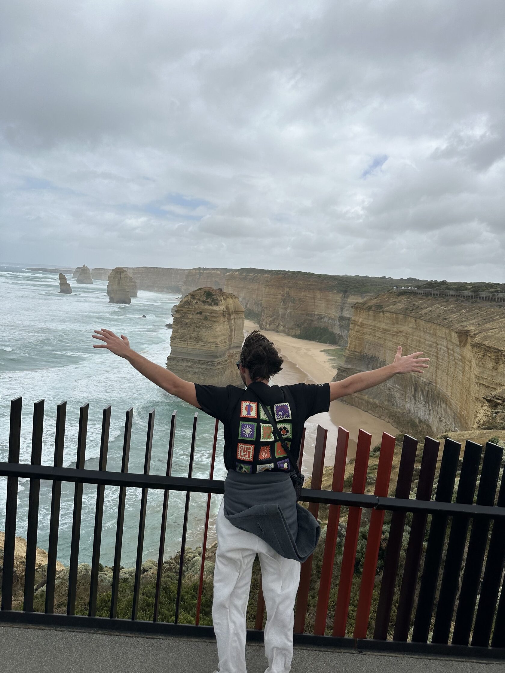 Утренний свет над побережьем и эвкалиптовым лесом