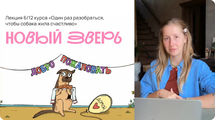 Новый питомец и собака