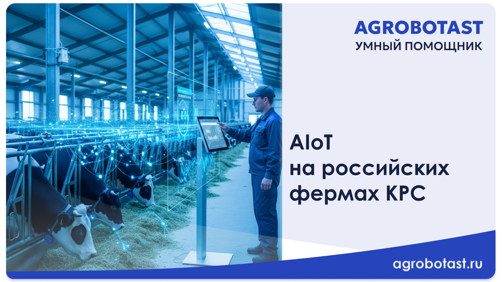 AIoT на российских фермах КРС