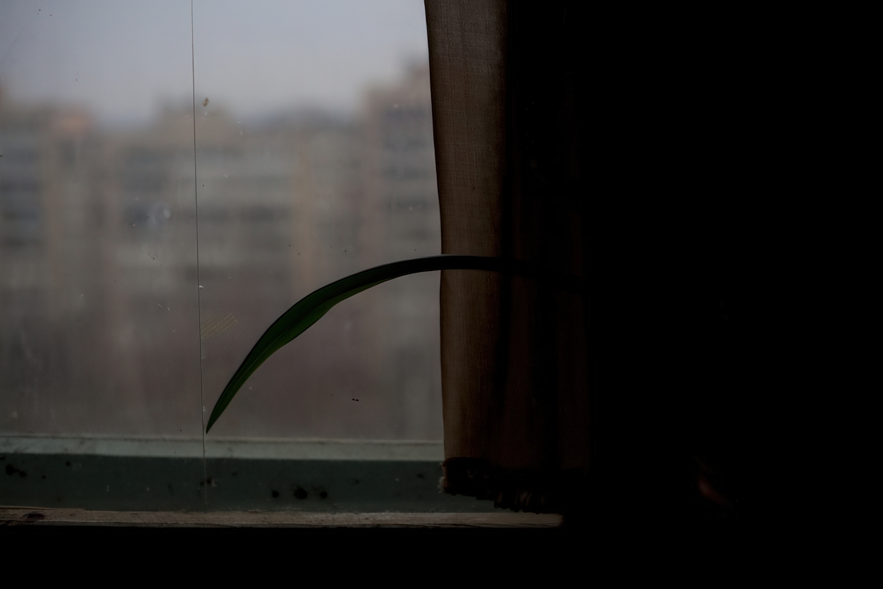 Из фотосерии Александра Саенко