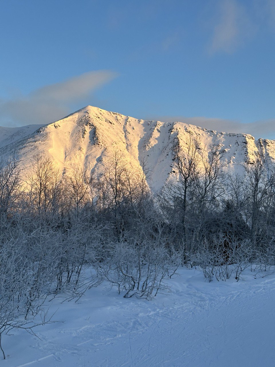 Nature view
