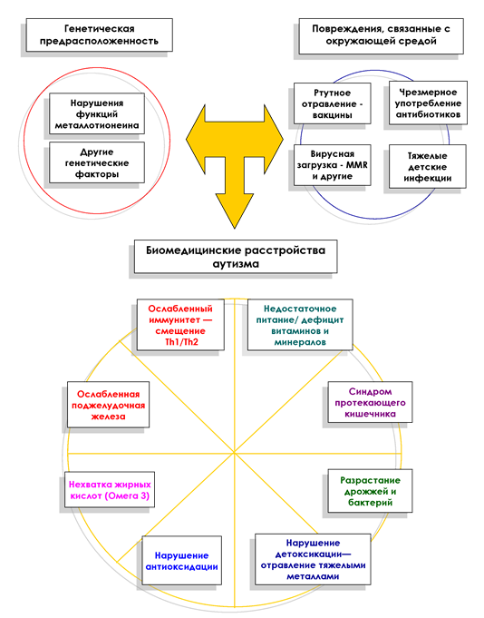 Составьте схему характеризующую различные подходы к классификации рда