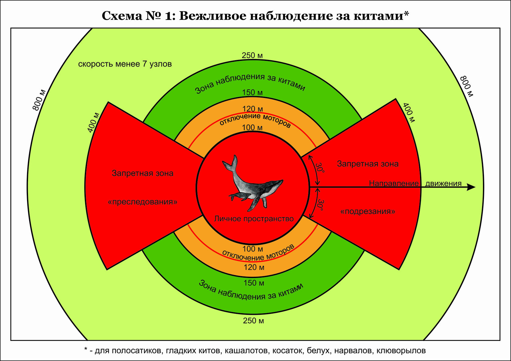 Тренировки дома для мужчин без инвентаря — топ 10 лучших упражнений с собственным весом