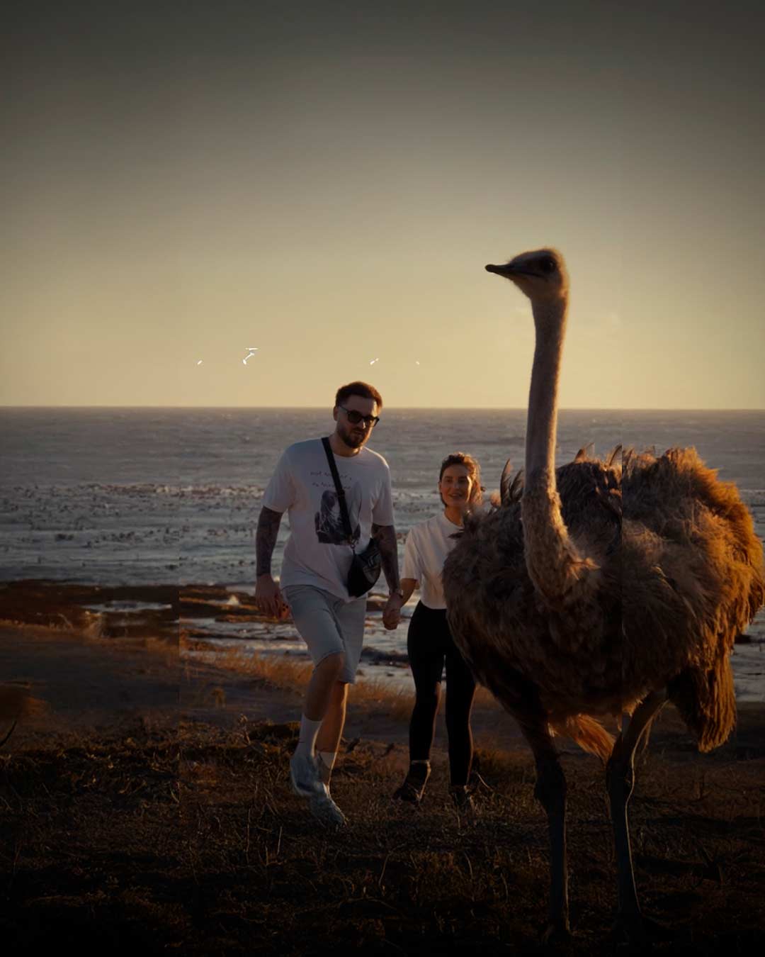 Мыс доброй надежды — прогулка по живописной тропе