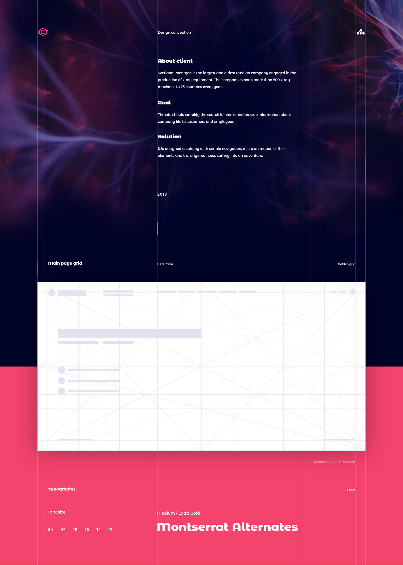 svetlana_x-ray_image_1