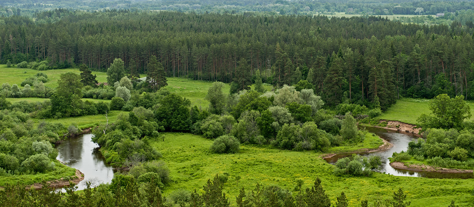 Санкт-Петербург