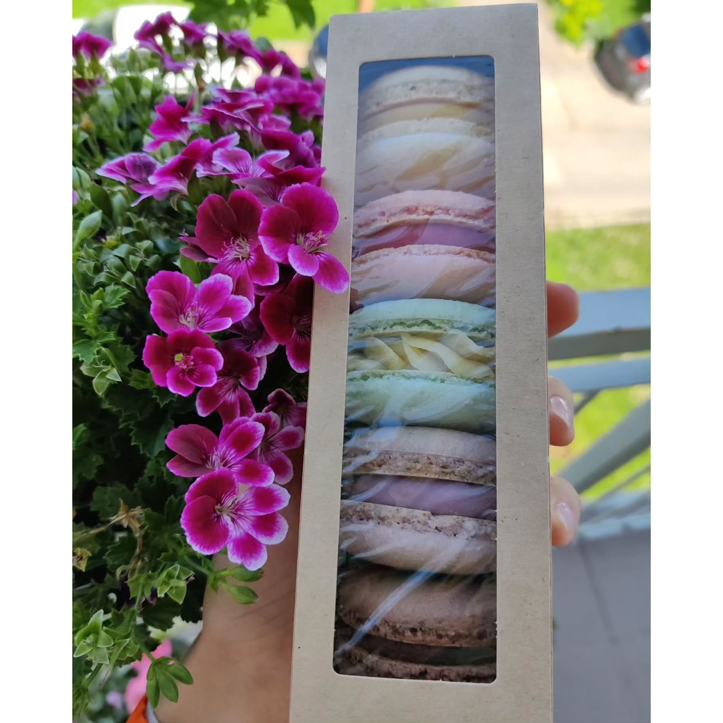Krabička makrónok Sweet Cloud s výberom rôznych chutí a farieb