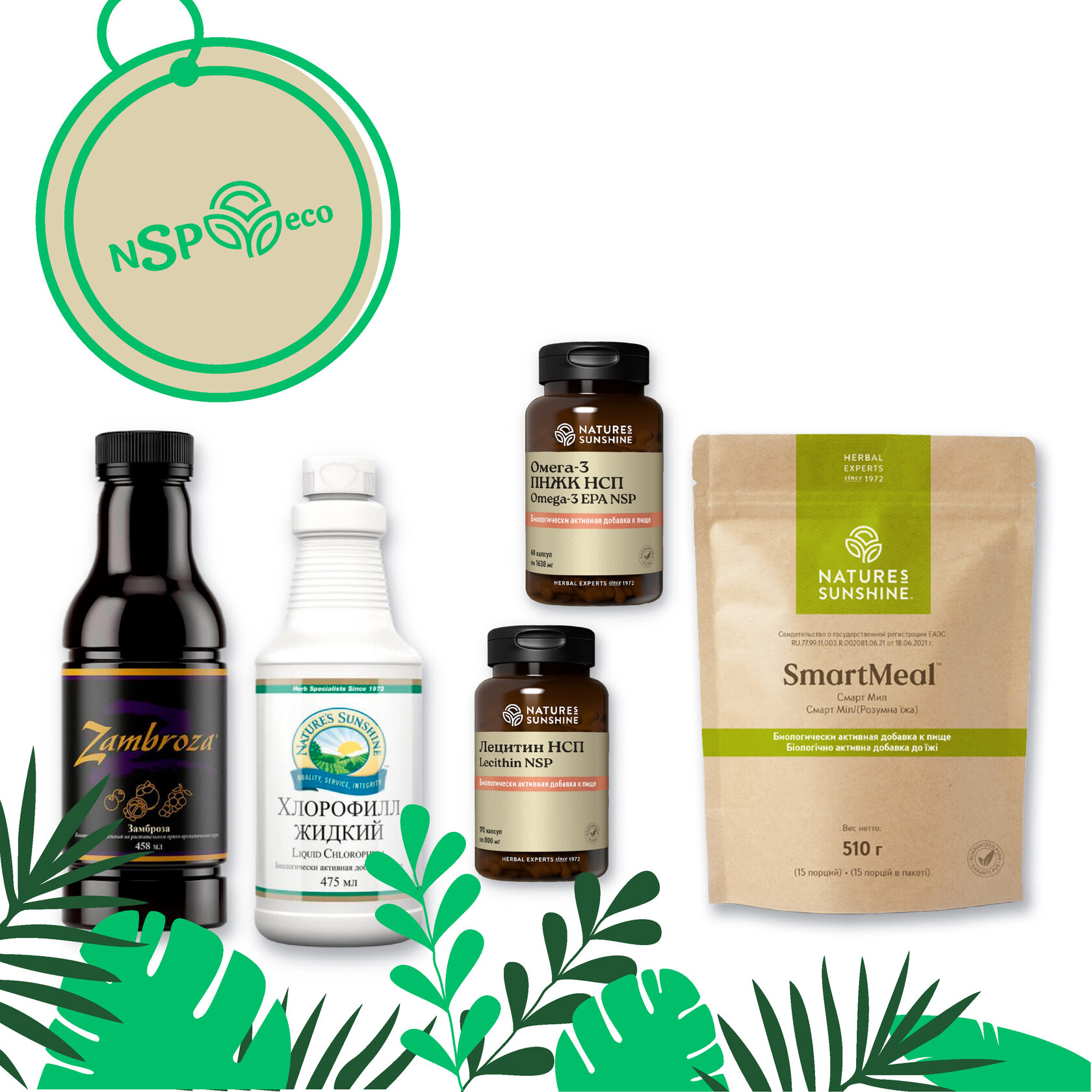 Здоровье с NSP круглый год