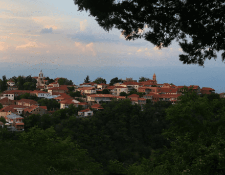 Даже на отдыхе я фотографирую