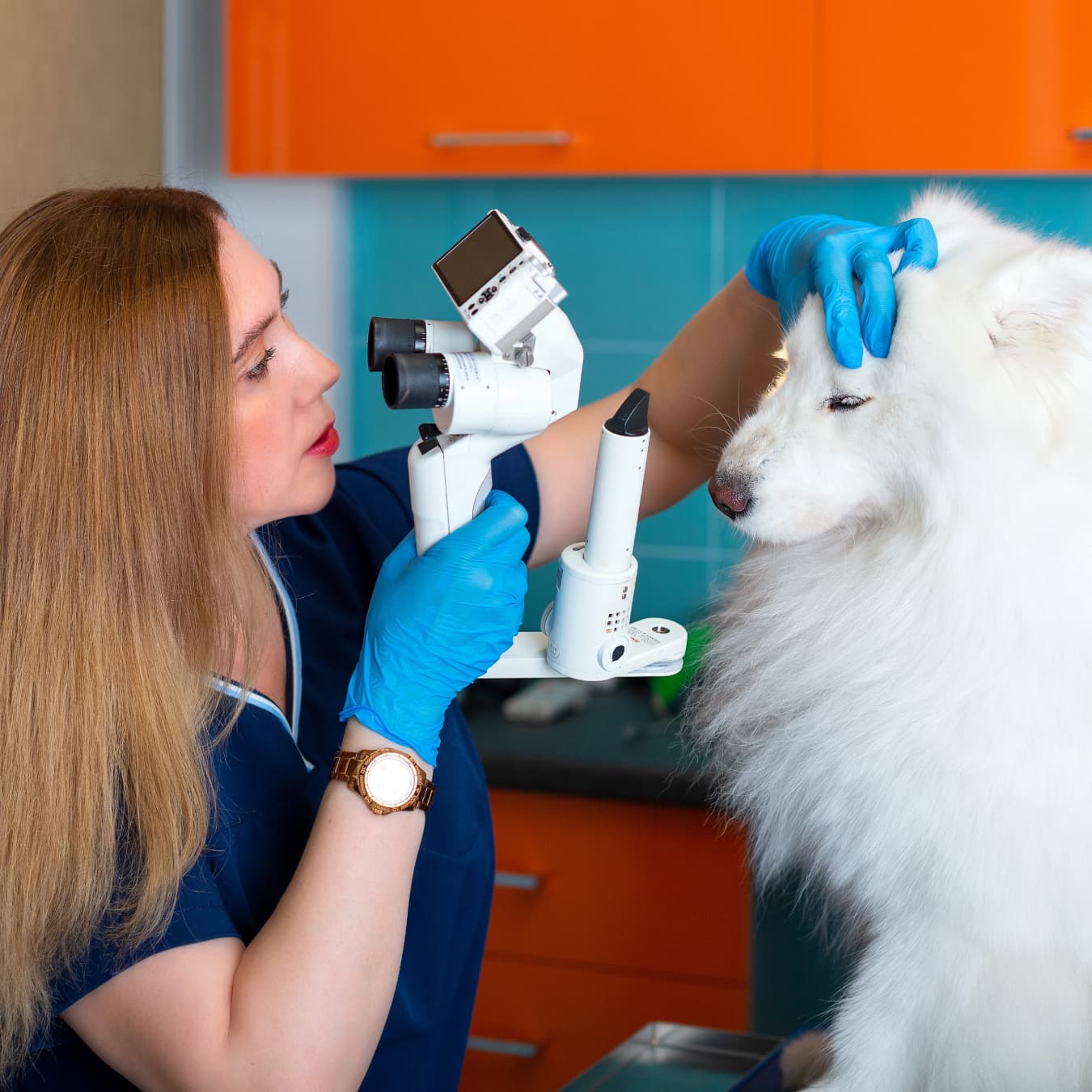 ветеринарная клиника воронеж