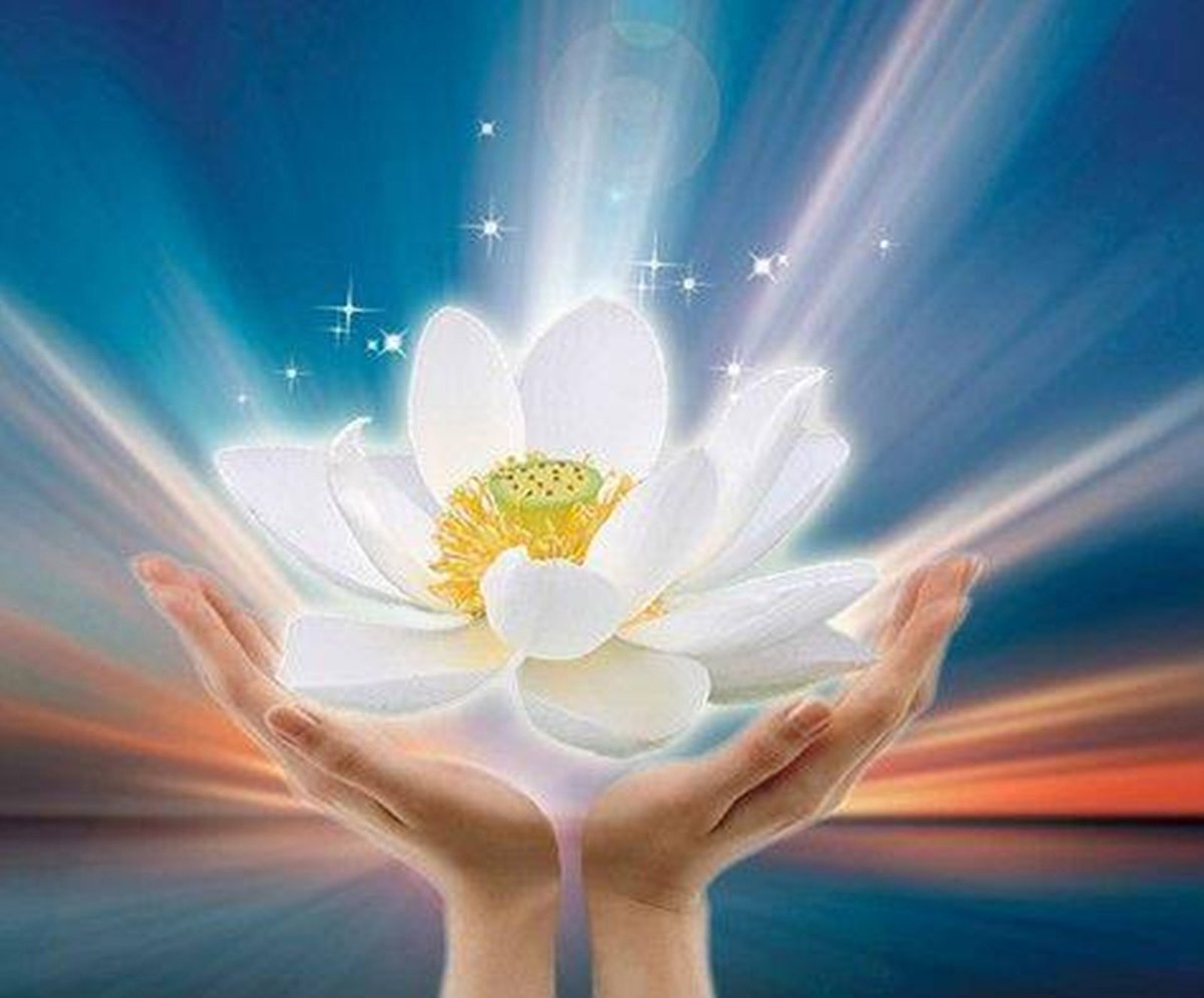 Благодарение и благополучие. Цветок лотоса медитация АЛЛАТРА. Радость души. Гармония и счастье. Гармония и радость.