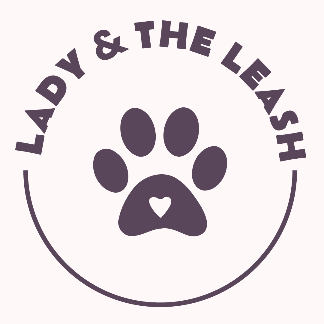 Dog Daycare in Weymouth, MA