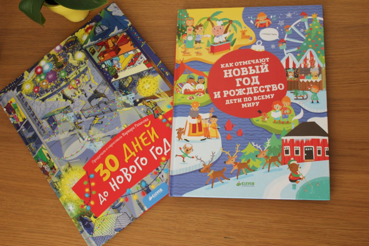 30 Дней До Нового Года Книга