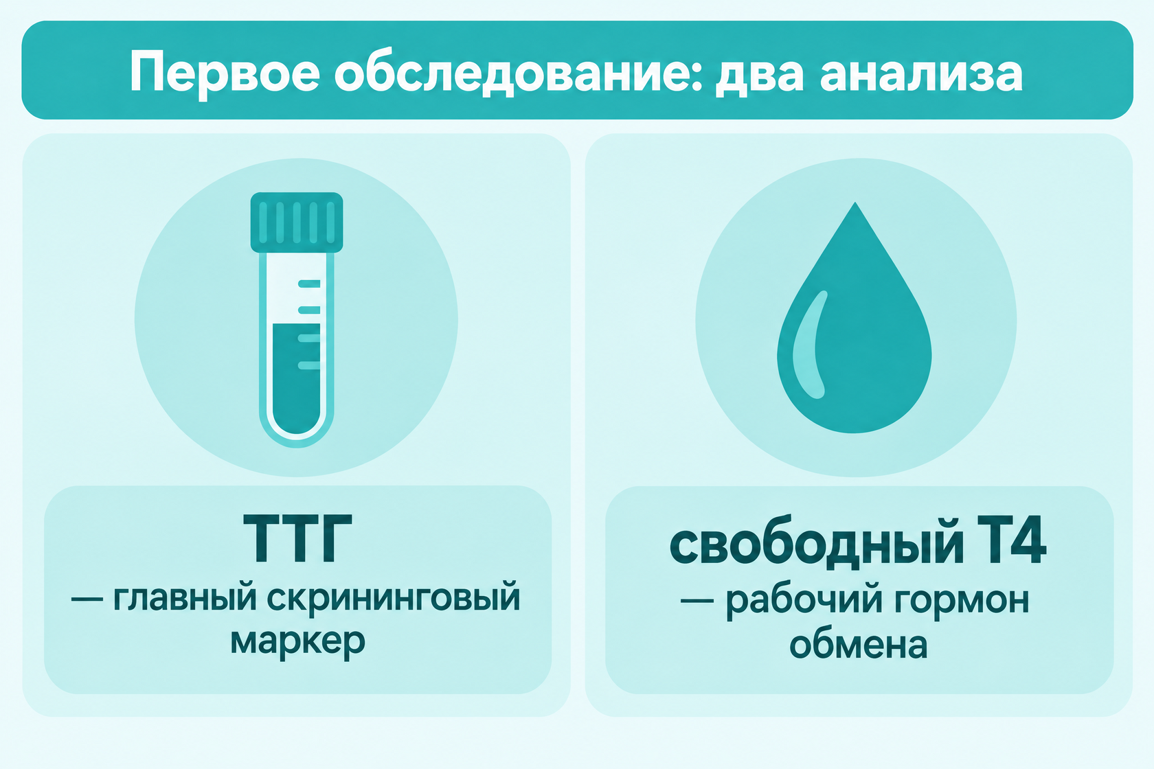 Первое обследование щитовидной железы: два анализа — ТТГ и свободный Т4